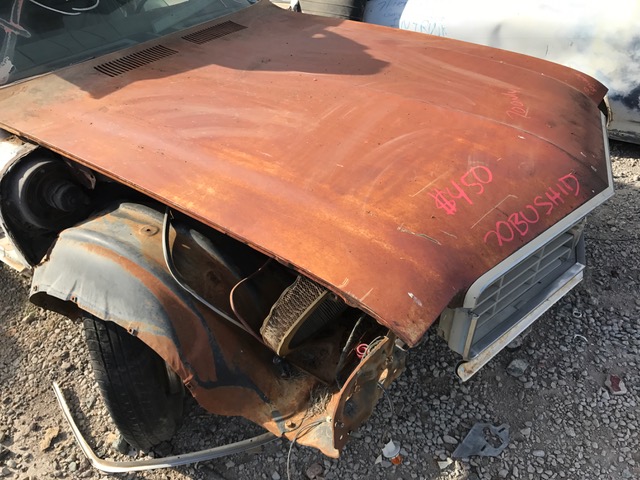 1970 Buick Skylark Hood (#70BUSH1D)