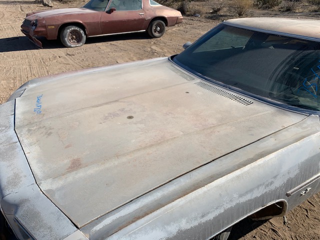 1975 Chevrolet Caprice Hood (#75CHCHB)