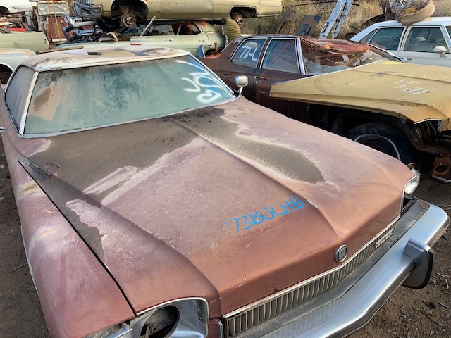 1973 Buick LeSabre hood (#73BULHDB)