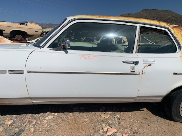 1974 Buick Apollo Driver Door Shell (#74BUAL01B)