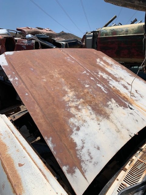 1965-66 Ford Galaxie/ LTD Hood (#65BCOFFHDB)