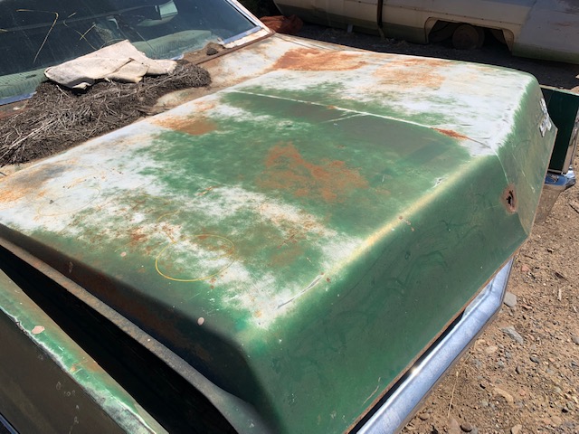 1970 Cadillac Trunk Lid (#70chcatl12b)