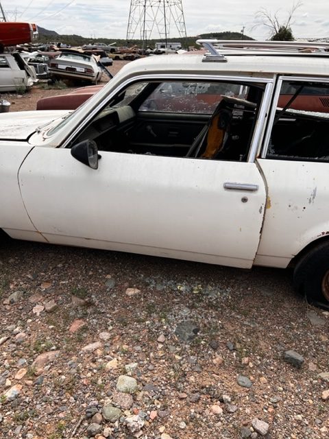 1976 Chevrolet Vega Driver Door Shell (#76CHL1DB)