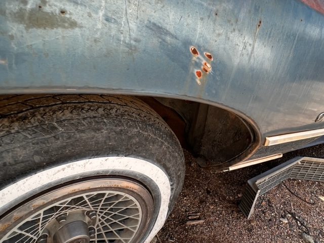 1977 Chevrolet Monte Carlo Driver Fender Shell (#77CHMCLF01B)