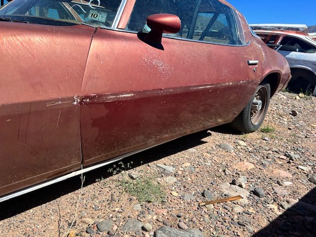 1976-81 Camaro Driver Door Shell (#78CHCDDB)