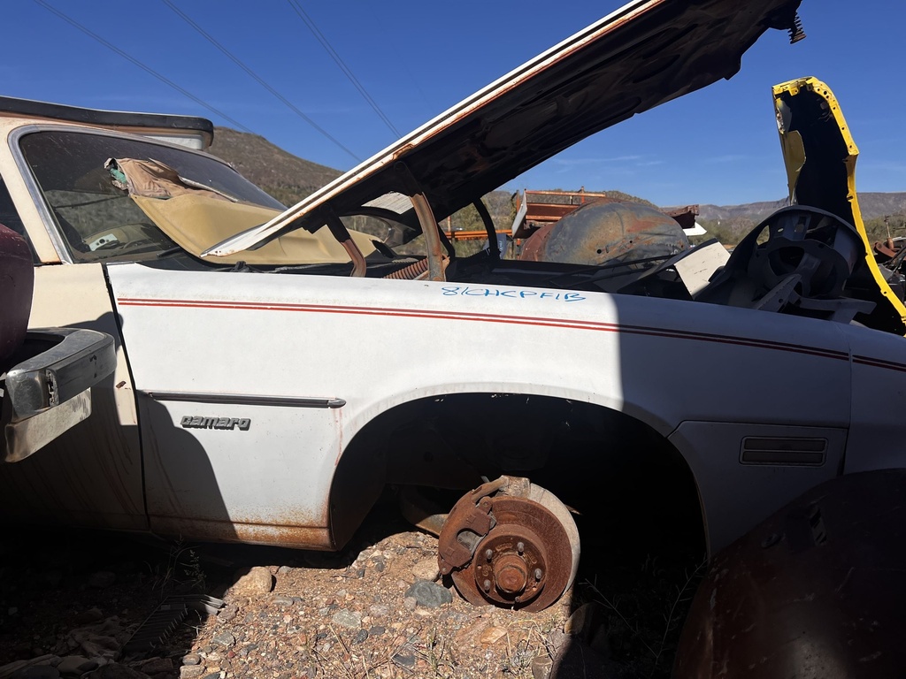 1981 Chevrolet Camaro Passenger Fender (#81CHCPF1B)