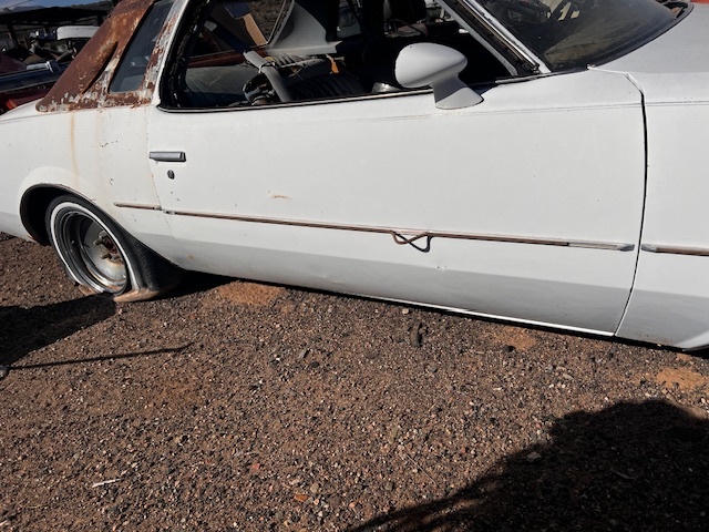 1976 Buick Regal Passenger Door Shell (#76BURPDB)