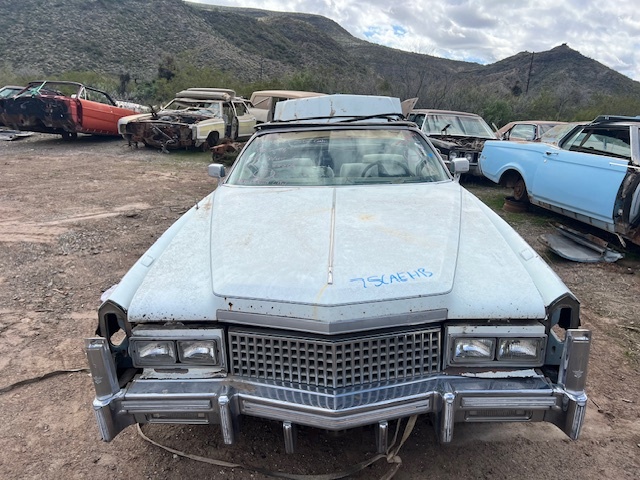 1975-78 Cadillac Eldorado Hood (#75CAEHB)