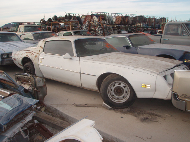 1974 Pontiac Trans Am (#74PO8028D)