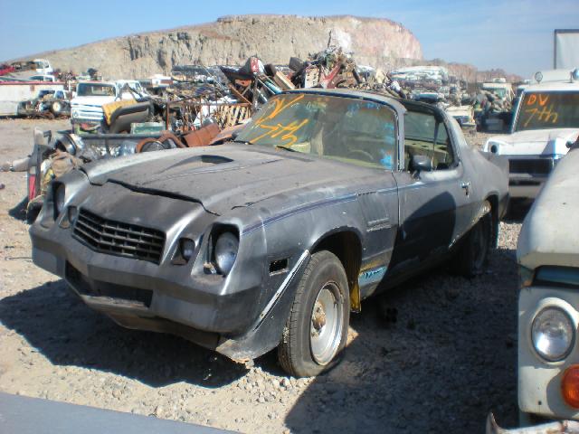 1981 Chevrolet Camaro (#81CHnvD)