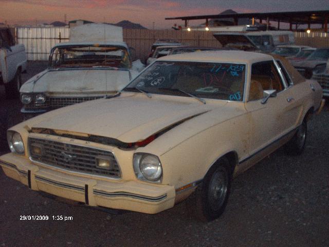 1977 Ford Mustang (#77FO7039D)