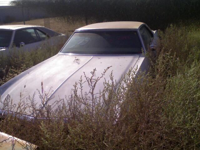 1970 Oldsmobile Toronado (#70OL8446C)