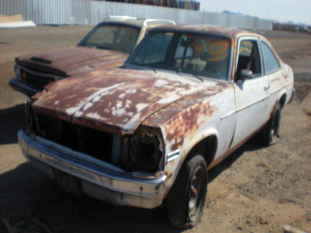 1976 Chevrolet Nova (#76CH2980D)