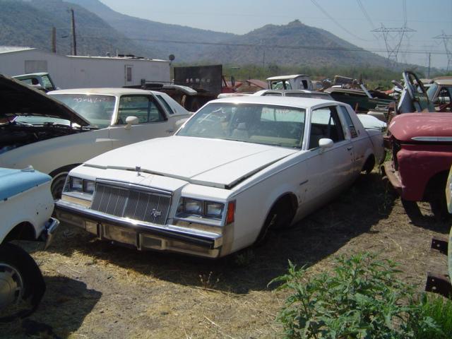 1984 Buick Regal (#84BU1116B)