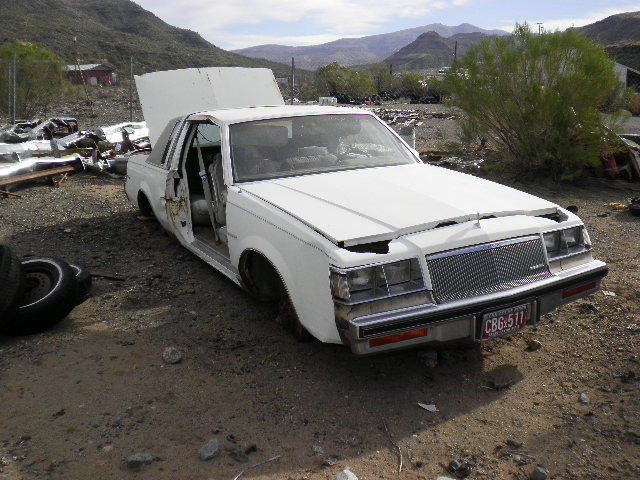 1984 Buick Regal (#84BU4012C)