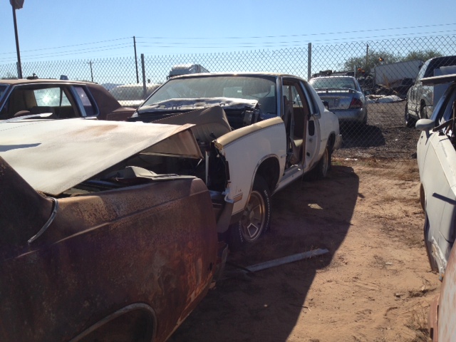 1979 Oldsmobile Cutlass (#79ol7953C ) 