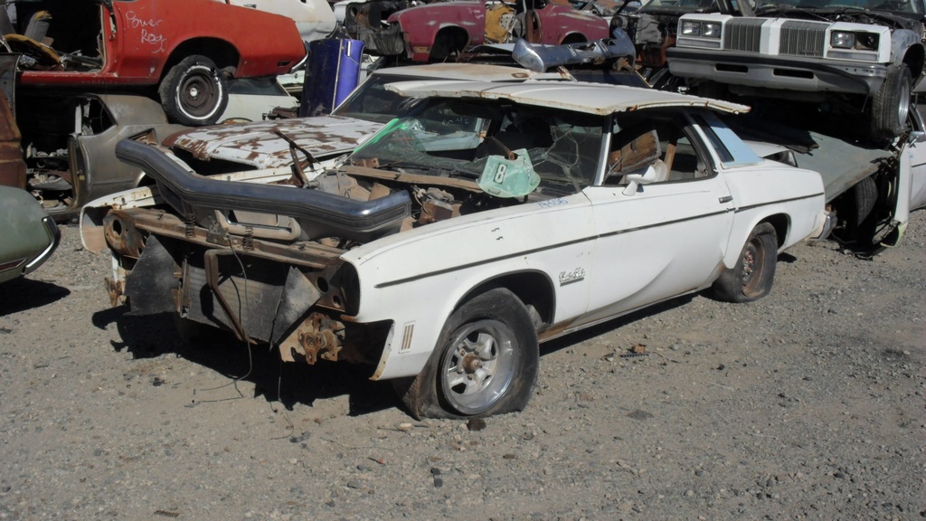 1974 Oldsmobile Cutlass (#74OL1245B)