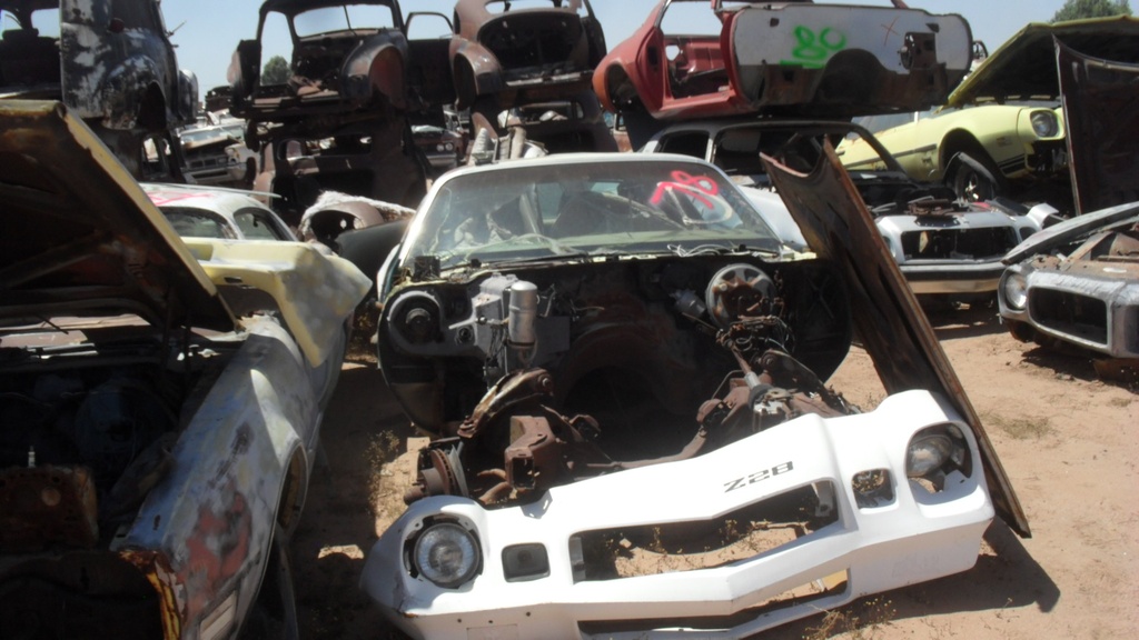 1978 Pontiac Firebird (#78PO1695B)