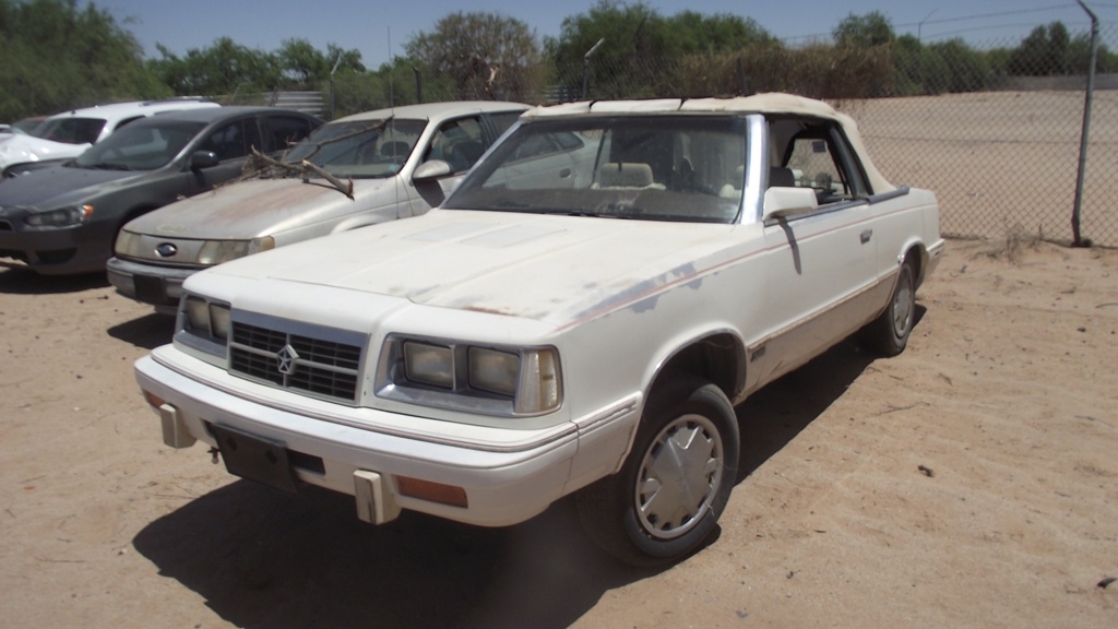 1986 Dodge 600 (#86DONV07E)