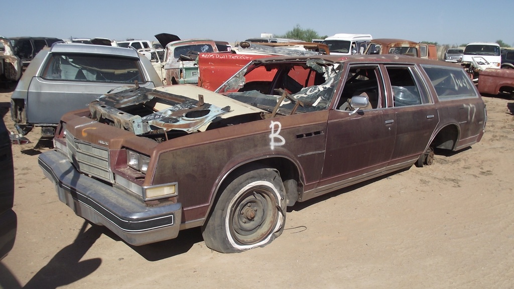 1979 Buick Estate Wagon (#79BU9713E)