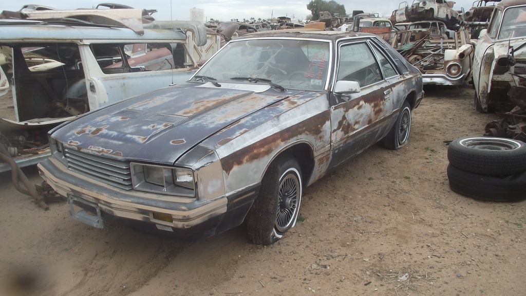 1981 Ford Mustang (#81FO7172E)