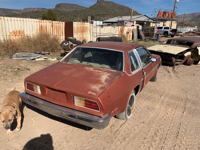 1976 Pontiac Sunbird 2 Door Sedan (#76PO7259B)