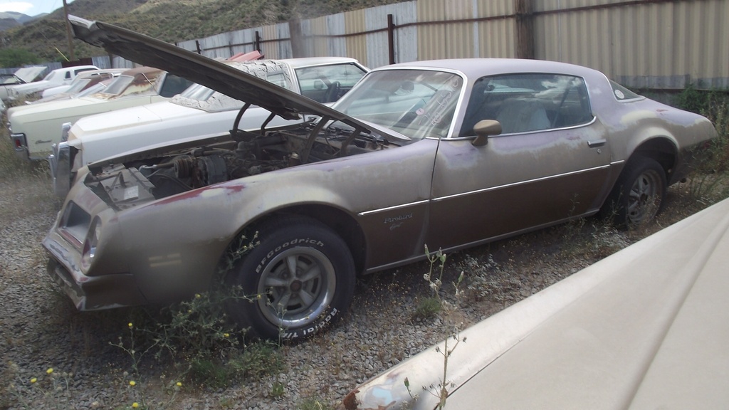 1976 Pontiac Firebird Esprit (#76PO6596B)