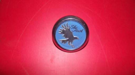 1976 Buick Nose Emblem (#76BUNE5EE)