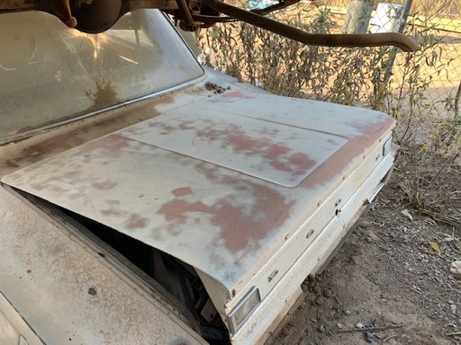 1966 Dodge Coronet 2DR Trunk Lid (#66DGCT2B)