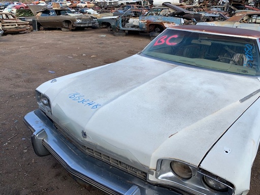 1973 Buick Electra hood (#73BUEHB)