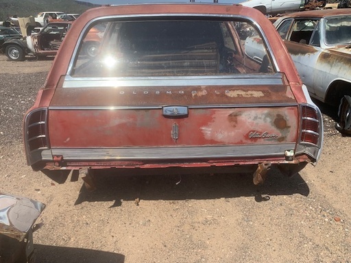 1965 Oldsmobile Vista Cruiser Tail Gate (#65OLVCTB)