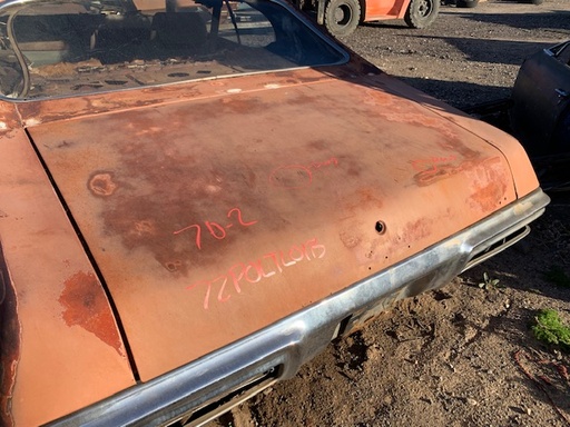 1972 Pontiac Lemans2 Door HT Trunk Lid (#72POLTL01B)