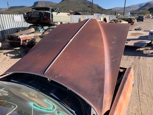 1976-77 Pontiac Grand Prix Hood (#76POGPHD)