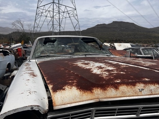 1967 Ford Galaxie Hood (#67fogh4b)