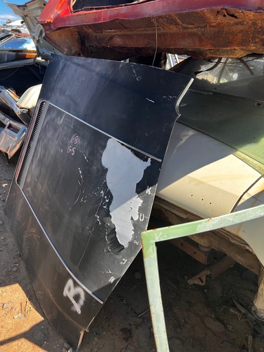 1968 Buick Skylark GS Hood (#668BUGSHB)