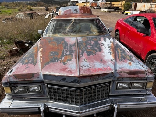 1976 Cadillac Coupe Deville Hood (#76CACHB)