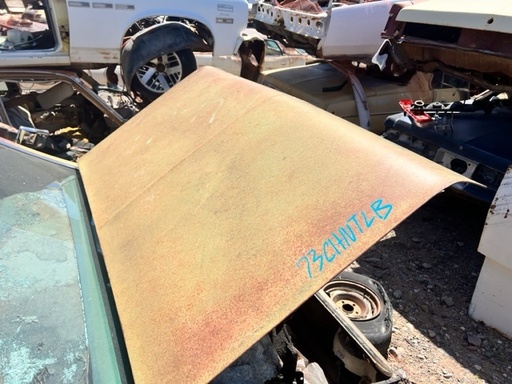 1973 Chevrolet Nova Trunk Lid (#73CHNTLB)