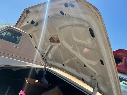 1969 Cadillac Coupe Deville Trunk Lid (#69CACTL57B)