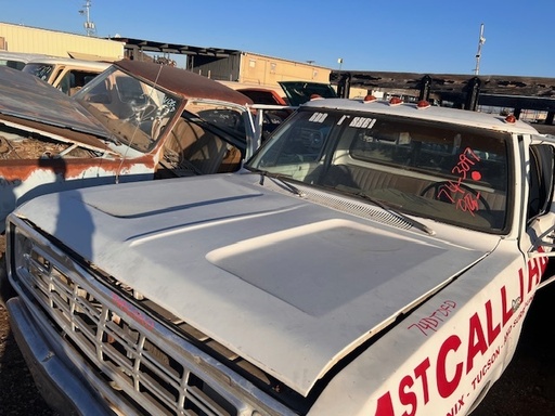 1974 Dodge Truck Hood ÔøΩÔøΩÔøΩÔøΩÔøΩÔøΩÔøΩÔøΩÔøΩBird