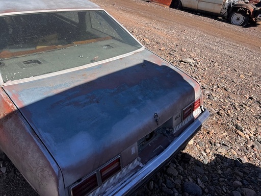 1975-9 Nova 2dr Coupe Trunk Lid (#75CHNTLB)