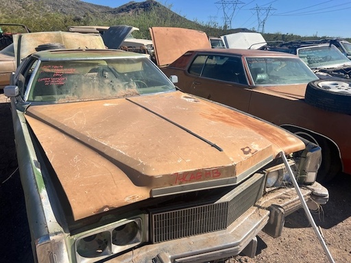 1974 Cadillac Eldorado Hood (#74CAEHB)