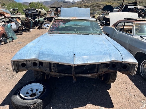 1966 Buick Wildcat Hood (#66BUWHB)