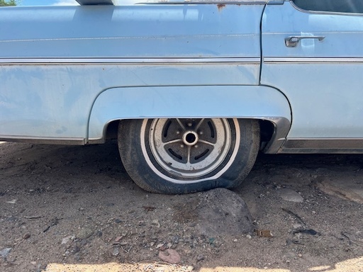 1975-6 Buick Electra Skirts (#76BUESB)