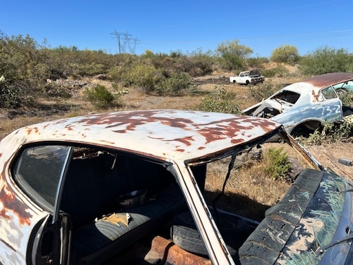 1972 Pontiac Le Mans Roof (#72POLRTB)