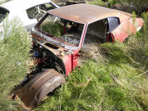 1972 Buick Skylark (#71BU2317B)