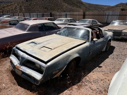 1978 Pontiac Firebird (#78PO2880R)