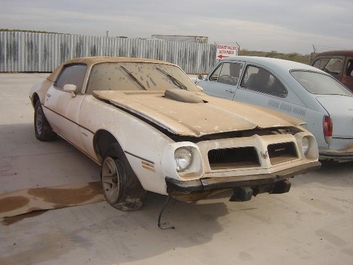 1974 Pontiac Firebird (#74PO0534D)