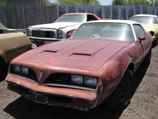 1977 Pontiac Firebird (#77PO8753D)