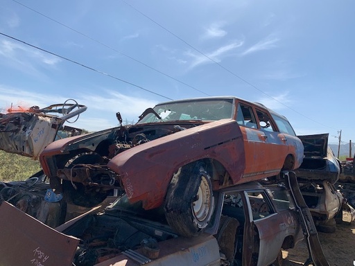 1966 Buick Sport Wagon (#66BU2852B)