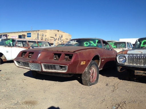 1979 Pontiac Firebird 2Dr Ht (#79P06941B)